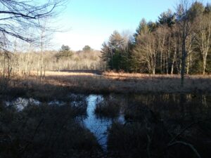Roaring Brook Dix Pond